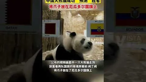 斯帕莱蒂：德国队体型优势明显，次轮对决信心十足